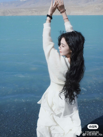 安装步骤示意图